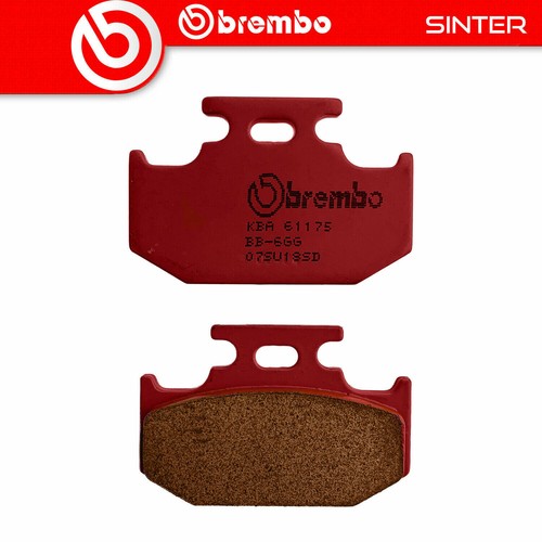 Pastiglie freno brembo sinter - freno,