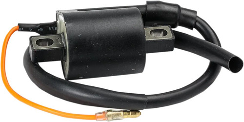 Rick motorsport electric - rick's,